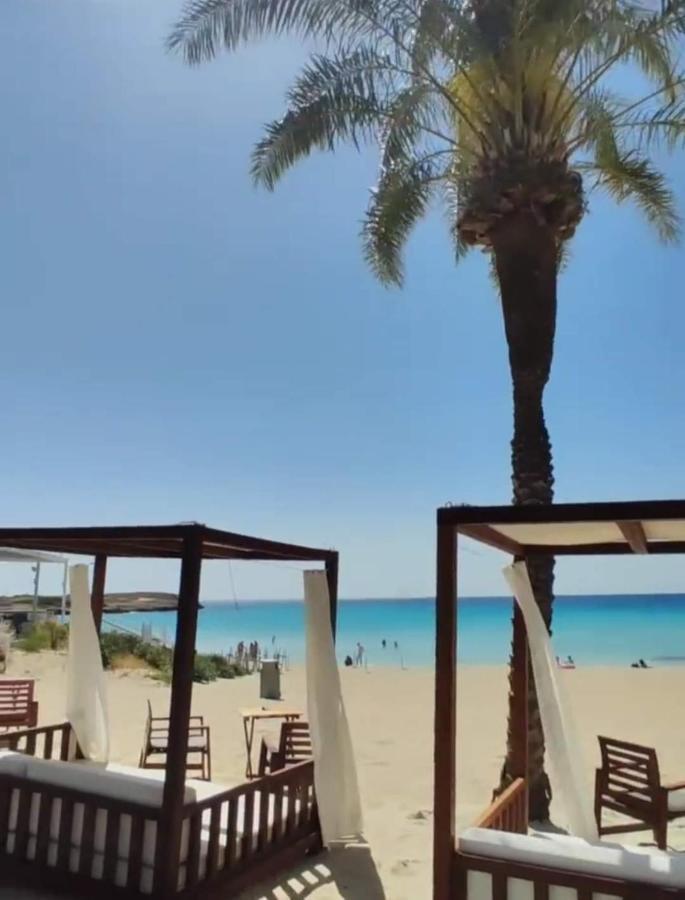 Nissi Golden Sands Sea View 2 Bedroom Apartment Agia Napa Buitenkant foto